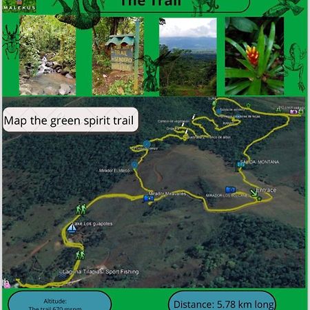 Malekus Mountain Lodge Aguas Claras  エクステリア 写真